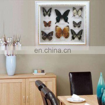 Real Butterfly Mounted in Frames - Decoration & Gifts