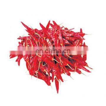 Red Chillies