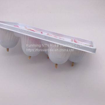 Preserved Rose Preserved Flowers Dried Flowers Birthday Valentine Party Wedding photo-4