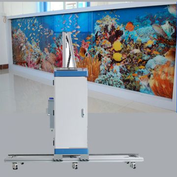 Outdoor And Indoor 3D Vertical Wall Printer Mural Decoration , Direct To Wall Inkjet Printer