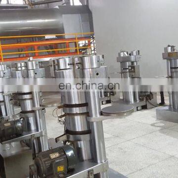Factory Directly Sale Automatic Cold Press Kenya Small Avocado Oil Press Machine photo-4