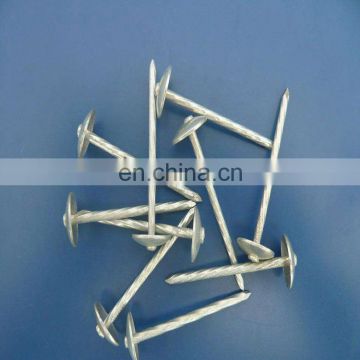 Factory price galvanized Q195 corrugated roofing nails