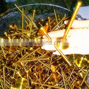 Auto Parts Factory Supply 4JJ1 4BD1 4JB14JA1 4HK1 4LE1 4LE2 4BG1 4JG2 for Isuzu 4 Cyls Supertech Race Discounted Engine Valves