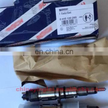 Diesel fuel injector 0445120289