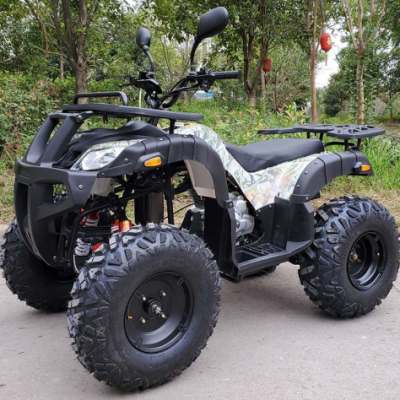 High Quality off Road Tricycle Motorcycle 250CC 300CC Quad ATV UTV for Sale photo-2