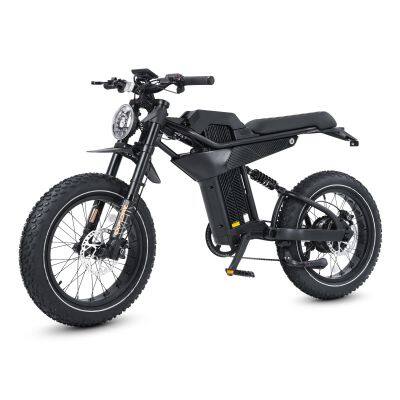 Ebike 20*4.0 Inch Fat Tire Dual Suspension Ebike 750W 1000W 1500W Electric Mountain Bike for Adults