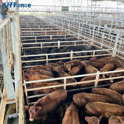 Panneaux de clôture pour enclos à chevaux en fer galvanisé à chaud, hauts de 6 pieds, résistants aux rongeurs, enduits de poudre et traités sous pression, clôture pour bétail