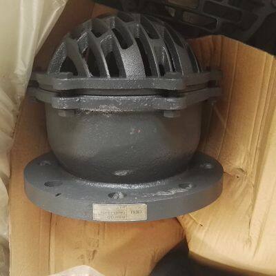 Cast Iron With Strainer Foot Valve for Water Pump Foot Operated Hydraulic Valve Flange Foot Valve With High Quality photo-5