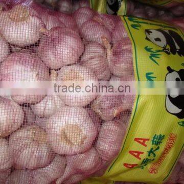 2016 vegetable garlic,2016 year garlic,fresh garlic, chinese garlic