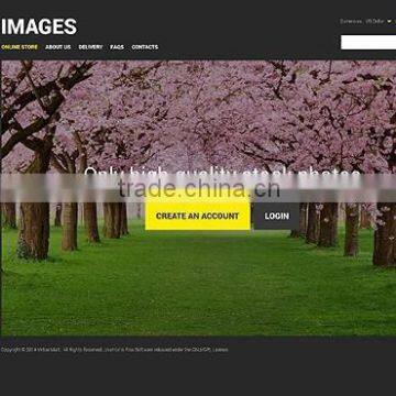 CodeIgniter Web Development photo-3