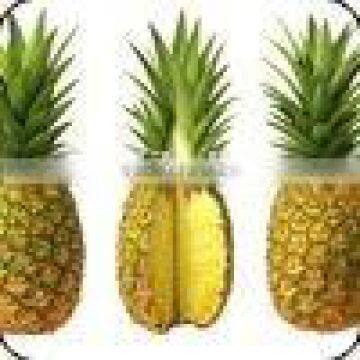 Fresh Pineapple