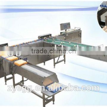 China Best Selling Egg Processing Equipment for sale