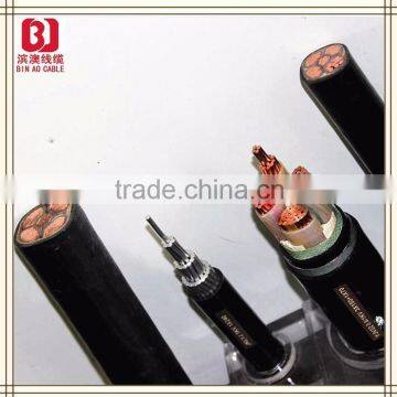 Single Core Cu/XLPE/AWA/PVC Cable,Power Cable