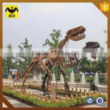 HLT Dinosaur Fossil Dinosaur Skeleton for Sale photo-2