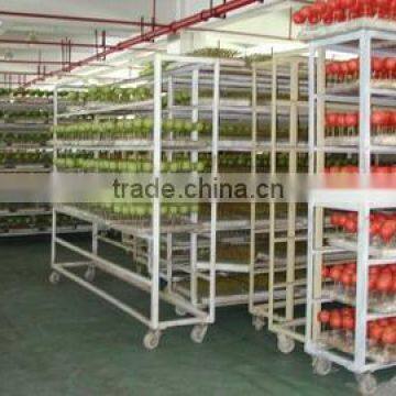 Flora Bunda Artichoke Artificial Vegetable
