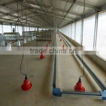 steel structure poultry house for egg chicken