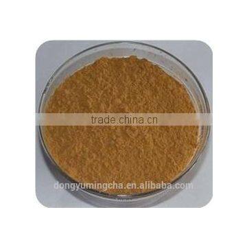 Natural Healthy Supplement 98% Polyphenols Green Tea Extract for Instant Drinking Tea