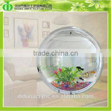 DDT-0076 Trade Assurance Cheap Aquarium Fish Shop