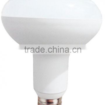 led R80 bulbs