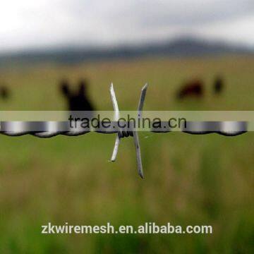Electro Galvanized Barbed Wire Price photo-5