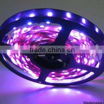 SMD 5060 RGB LED Strip Light