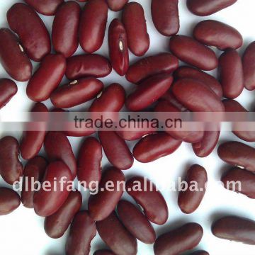 Red Kidney Bean( British type, Heilongjiang origin.hps,2011 crop))