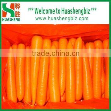 2016 Best Quality Fresh Red Carrots photo-4