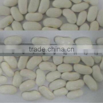 white kideny beans ( sizes 180-200 / 200-240/ 240-260)