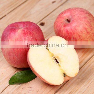 New Arrival Fresh Fuji Apple With Best Price Brand Yitian Sweet Fuji Apple photo-6