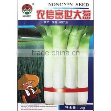 Chinese Shallot Scallion Allium fistulosum Green Chinese Onion Seeds For Growing-Farmer Trust Rich