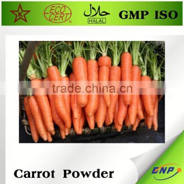 Carrot Extract Powder Manufacturer