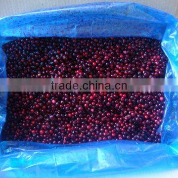 Frozen IQF lingonberry best Price High Quality Hot sale