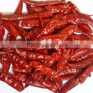 Exporters of Sanam Chilli/S 4 Chilli/S 334 Chilli