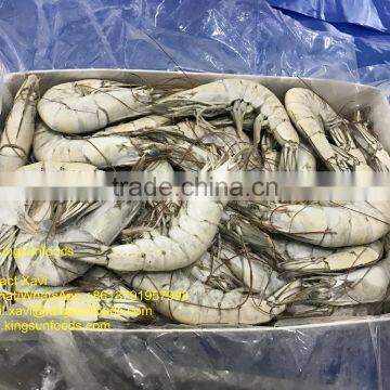 Grade A HOSO Vannamei,Shrimp Vannamei From India