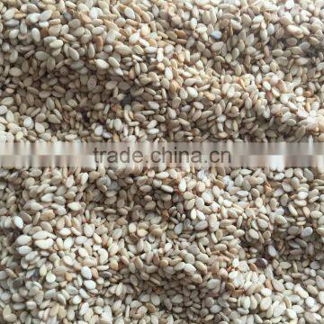 Good Quality Natural White Sesame Seeds photo-2