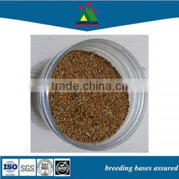 bird feed shell red millet