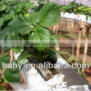 Drip Irrigation Tape With Double Line Saveing Water Irrigation