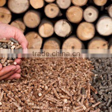 KEGO WOOD PELLET FOR PRODUCING HEAT AND ELECTRICITY photo-3