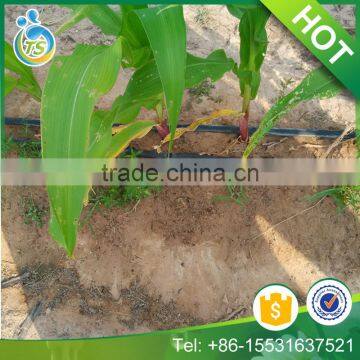 agriculture drip irrigation line