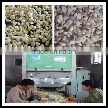 Belt Type CCD Color Sorter for Fresh Garlic or beans or seeds 0086 371 65866393