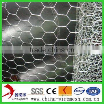 PVC Coated or Galvanized Hexagonal Wire Netting photo-2
