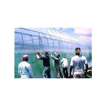 Commercial Greenhouses photo-5