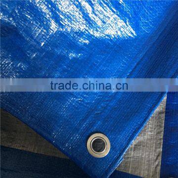 Clear plastic backpack tarpaulin