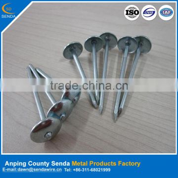 iron nails factory from Anping / roofing nails galvanized surface treatment