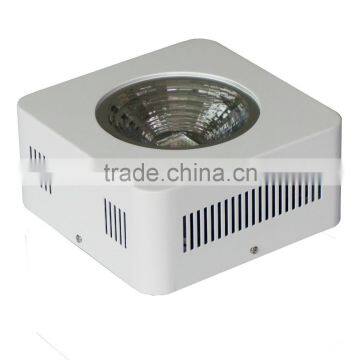 2015 Newest! Hot Sale Full Spectrum COB Led Grow Light,200W Led Grow Light photo-4