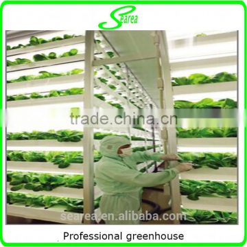 Professional Greenhouse Project commercial hydroponic systems