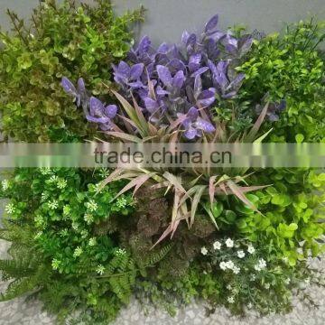 Decorative frame wall hanging grass plants