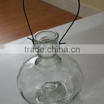 glass wasp trap,glass bee catcher,glassware