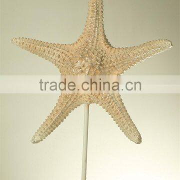 Custom Home Decor Art Artificial Starfish Statue photo-6