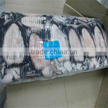 superior quality squid tube importer